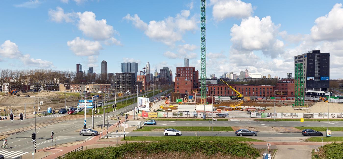 Roseknoop overzichtsfoto