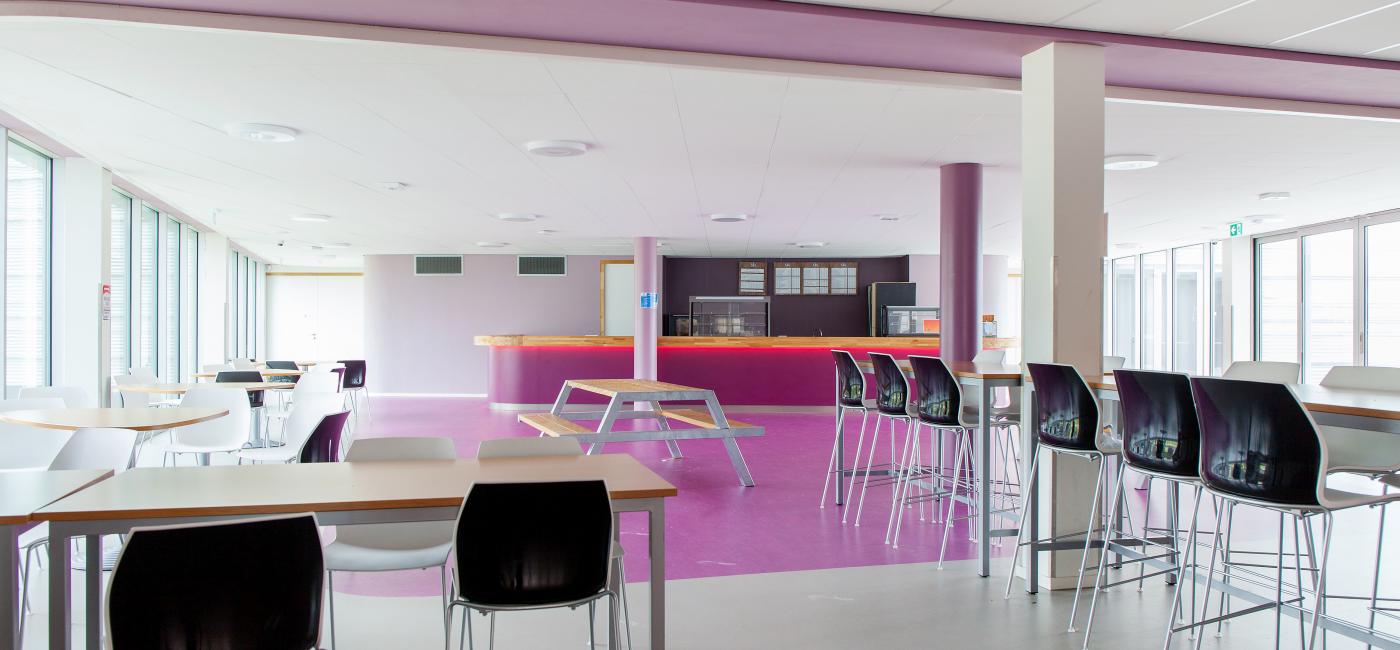 Locatie Dierensteinweg